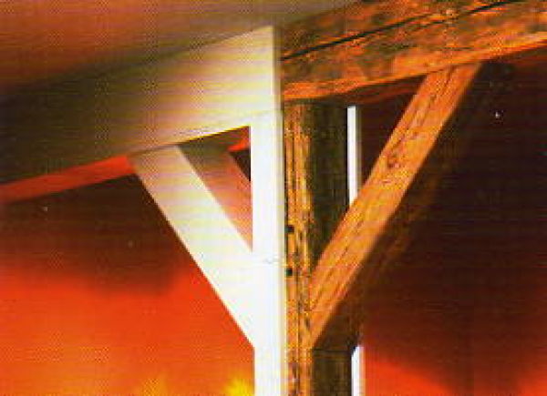 pfuego3-jpg